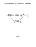 Neurofibrillary labels diagram and image