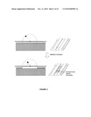 OPTICAL DISCS FOR ANALYZING BIOMOLECULES diagram and image