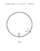 OPTICAL DISCS FOR ANALYZING BIOMOLECULES diagram and image