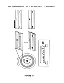 OPTICAL DISCS FOR ANALYZING BIOMOLECULES diagram and image