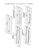 OPTICAL DISCS FOR ANALYZING BIOMOLECULES diagram and image