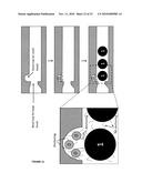 OPTICAL DISCS FOR ANALYZING BIOMOLECULES diagram and image