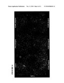 NOVEL PEPTIDES THAT ENHANCE TIGHT JUNCTION PERMEABILITY diagram and image