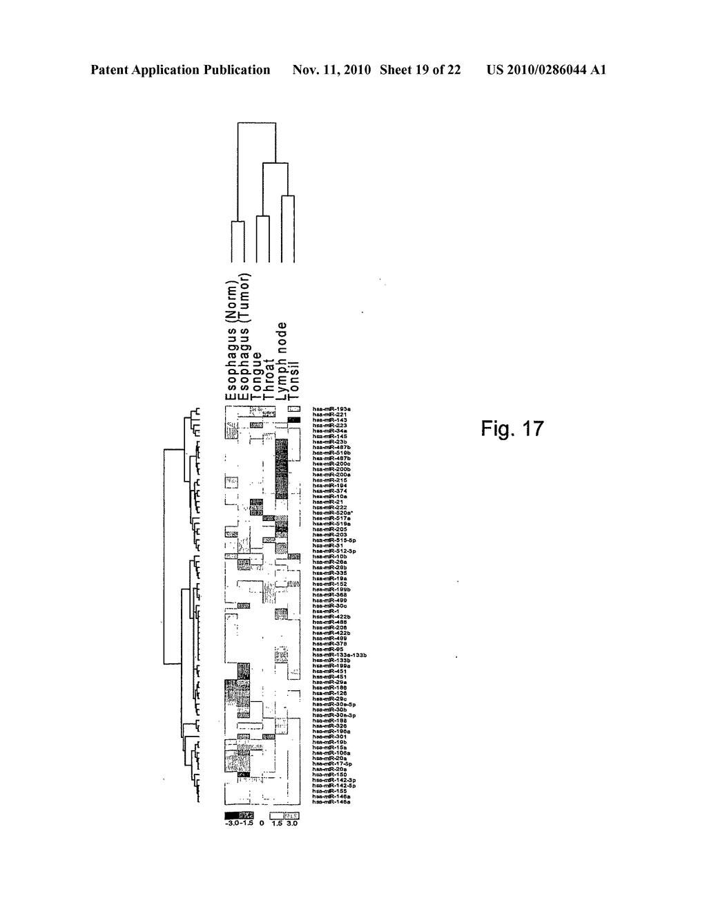 DETECTION OF TISSUE ORIGIN OF CANCER - diagram, schematic, and image 20