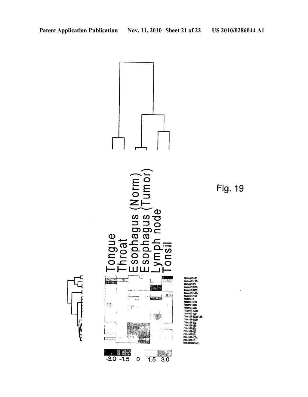 DETECTION OF TISSUE ORIGIN OF CANCER - diagram, schematic, and image 22