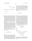 NOVEL COMPOUNDS OF REVERSE TURN MIMETICS AND THE USE THEREOF diagram and image