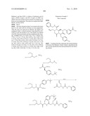 NOVEL COMPOUNDS OF REVERSE TURN MIMETICS AND THE USE THEREOF diagram and image