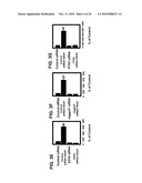 PRO-ANGIOGENIC GENES IN OVARIAN TUMOR ENDOTHELIAL CELL ISOLATES diagram and image