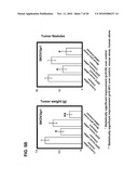 PRO-ANGIOGENIC GENES IN OVARIAN TUMOR ENDOTHELIAL CELL ISOLATES diagram and image