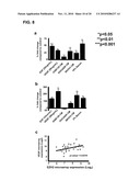 PRO-ANGIOGENIC GENES IN OVARIAN TUMOR ENDOTHELIAL CELL ISOLATES diagram and image