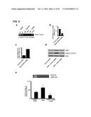 PRO-ANGIOGENIC GENES IN OVARIAN TUMOR ENDOTHELIAL CELL ISOLATES diagram and image