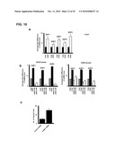 PRO-ANGIOGENIC GENES IN OVARIAN TUMOR ENDOTHELIAL CELL ISOLATES diagram and image