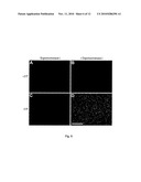 ENZYME ACTIVITY ASSAY USING ROLLING CIRCLE AMPLIFICATION diagram and image