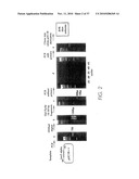 METHODS FOR GENERATING POLYNUCLEOTIDES HAVING DESIRED CHARACTERISTICS BY ITERATIVE SELECTION AND RECOMBINATION diagram and image