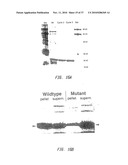 METHODS FOR GENERATING POLYNUCLEOTIDES HAVING DESIRED CHARACTERISTICS BY ITERATIVE SELECTION AND RECOMBINATION diagram and image