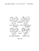 METHODS FOR GENERATING POLYNUCLEOTIDES HAVING DESIRED CHARACTERISTICS BY ITERATIVE SELECTION AND RECOMBINATION diagram and image