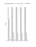 Novel fluorescent protein molecules diagram and image