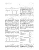 Pregnane X Receptor Compositions, Crystals and Uses Thereof diagram and image