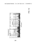 METHODS FOR APPLYING BRAIN SYNCHRONIZATION TO EPILEPSY AND OTHER DYNAMICAL DISORDERS diagram and image