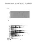 PLANT SEED ACTIVE TRANSCRIPTIONAL CONTROL SEQUENCES diagram and image