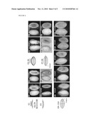 PLANT SEED ACTIVE TRANSCRIPTIONAL CONTROL SEQUENCES diagram and image