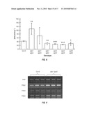 METHODS FOR PRODUCING PLANTS WITH ALTERED LEVELS OF SULPHATED SECONDARY METABOLITES diagram and image