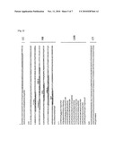 Genes for enhancing resistance to magnaporthe oryzae and uses thereof diagram and image