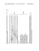 Genes for enhancing resistance to magnaporthe oryzae and uses thereof diagram and image