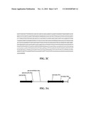 MODULATION OF ACC SYNTHASE IMPROVES PLANT YIELD UNDER LOW NITROGEN CONDITIONS diagram and image