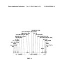 MODULATION OF ACC SYNTHASE IMPROVES PLANT YIELD UNDER LOW NITROGEN CONDITIONS diagram and image