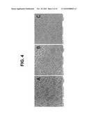 SYSTEM AND METHOD FOR CHARACTERIZING MEMBRANES AND MEMBRANE FILTRATION DEVICES diagram and image