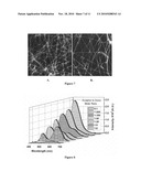 Nucleic acid-based photovoltaic cell diagram and image