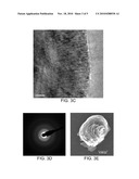 Large-Diameter 3D Carbon Nano-Onion Structures diagram and image