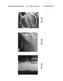 Methods for Producing High-Performance Silicon Carbide Fibers, Architectural Preforms, and High-Temperature Composite Structures diagram and image