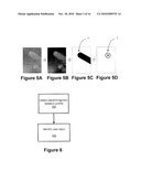 DISPLAYS FOR ELECTRONIC DEVICES THAT DETECT AND RESPOND TO THE SIZE AND/OR ANGULAR ORIENTATION OF USER INPUT OBJECTS diagram and image