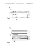 Data Carrier Having Identifiers diagram and image