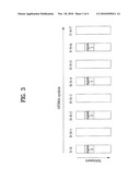 METHOD OF ALLOCATING RADIO RESOURCE IN BROADBAND WIRELESS ACCESS SYSTEM diagram and image