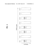 METHOD OF ALLOCATING RADIO RESOURCE IN BROADBAND WIRELESS ACCESS SYSTEM diagram and image