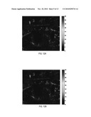 SYSTEM AND METHOD FOR MOTION DETECTION IN A SURVEILLANCE VIDEO diagram and image