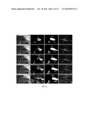 SYSTEM AND METHOD FOR MOTION DETECTION IN A SURVEILLANCE VIDEO diagram and image