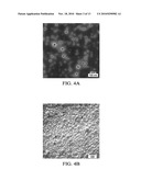 SOLID IN OIL/WATER EMULSION-DIFFUSION-EVAPORATION FORMULATION FOR PREPARING CURCUMIN-LOADED PLGA NANOPARTICLES diagram and image