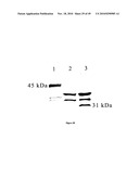 MACROMOLECULAR COMPOSITIONS THAT CROSS THE BLOOD-BRAIN BARRIER AND METHODS OF USE THEREOF diagram and image