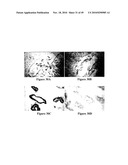 MACROMOLECULAR COMPOSITIONS THAT CROSS THE BLOOD-BRAIN BARRIER AND METHODS OF USE THEREOF diagram and image