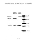 MACROMOLECULAR COMPOSITIONS THAT CROSS THE BLOOD-BRAIN BARRIER AND METHODS OF USE THEREOF diagram and image