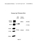 MACROMOLECULAR COMPOSITIONS THAT CROSS THE BLOOD-BRAIN BARRIER AND METHODS OF USE THEREOF diagram and image