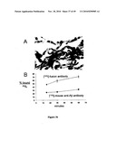 MACROMOLECULAR COMPOSITIONS THAT CROSS THE BLOOD-BRAIN BARRIER AND METHODS OF USE THEREOF diagram and image