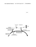 THERAPEUTIC USE OF DIAMINOPHENOTHIAZINES diagram and image