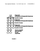 COMPOSITIONS AFFECTING HYALURONIC ACID MEDIATED ACTIVITY diagram and image