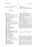 NOVEL [F-18]-LABELLED L-GLUTAMIC ACID AND L-GLUTAMINE DERIVATIVES (I), THEIR USE AND PROCESSES FOR THEIR PREPARATION diagram and image