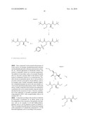 NOVEL [F-18]-LABELLED L-GLUTAMIC ACID AND L-GLUTAMINE DERIVATIVES (I), THEIR USE AND PROCESSES FOR THEIR PREPARATION diagram and image